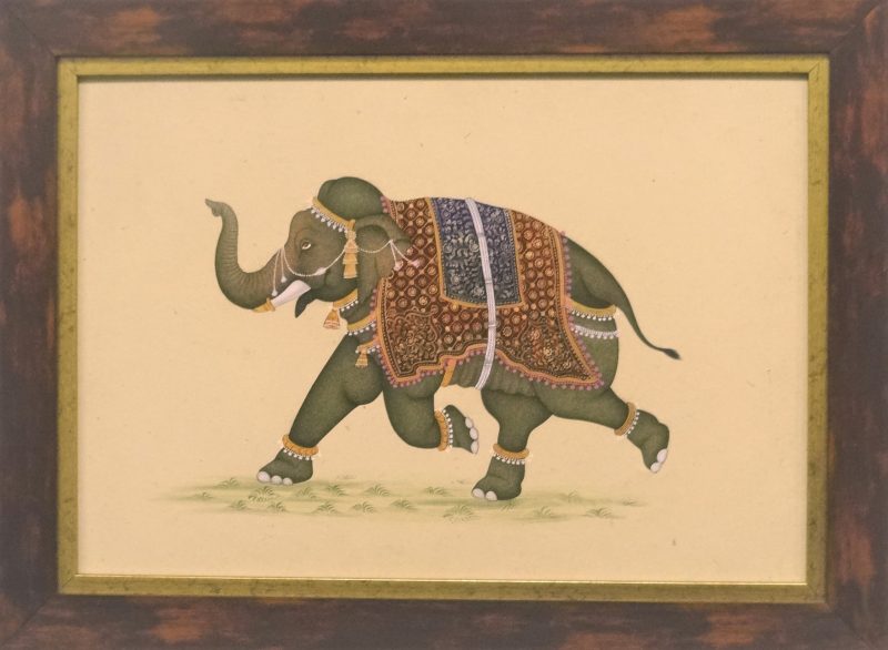Rajasthani - Elephant L